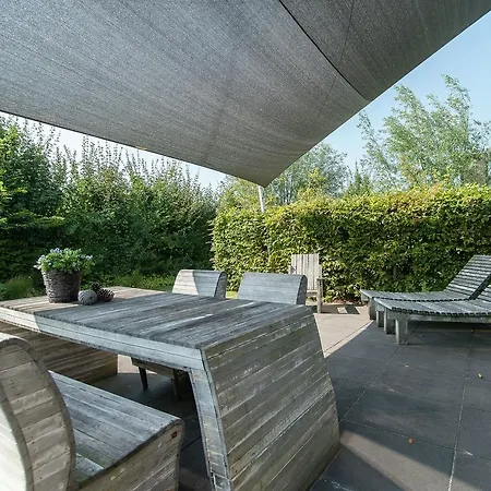 Modern Holiday In Amidst Forests